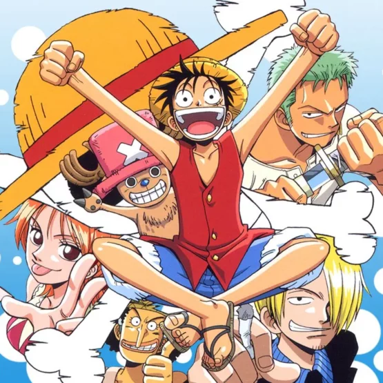 One Piece  Episódios do anime dublado até Water 7 estão disponíveis na  Netflix