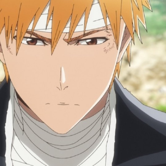 Anime Bleach, guerra dos mil anos episódio 8 , Ichigo vai para o palác