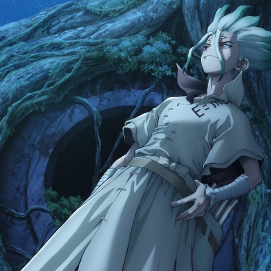 Anime de Dr. STONE New World apresenta a nova personagem Amaryllis -  Crunchyroll Notícias