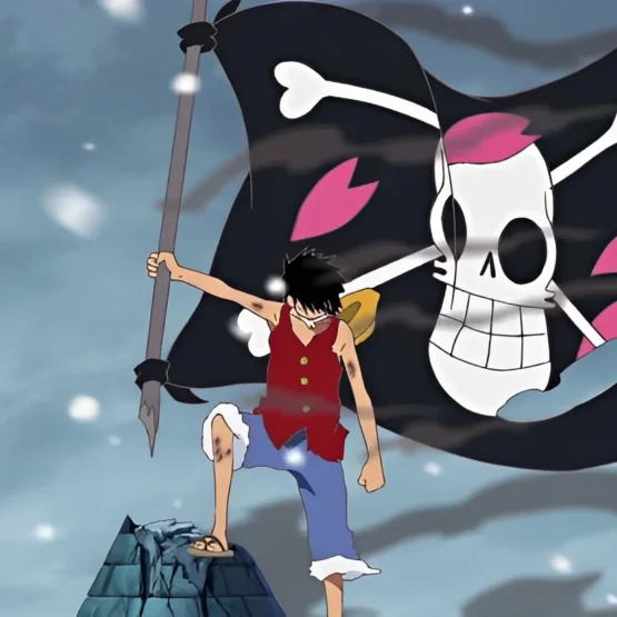 pirataria de animes