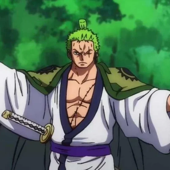 one piece zoro