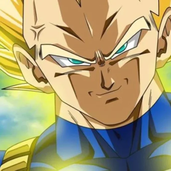 vegeta dragon ball