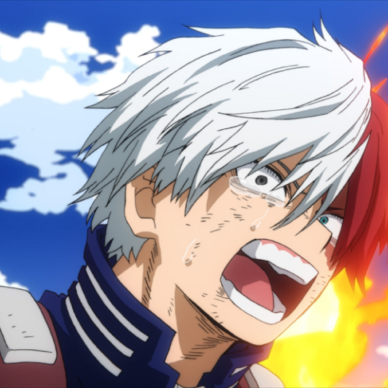 my hero academia shoto