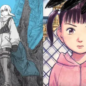 Capas de A Cor do Fim e Mujirushi