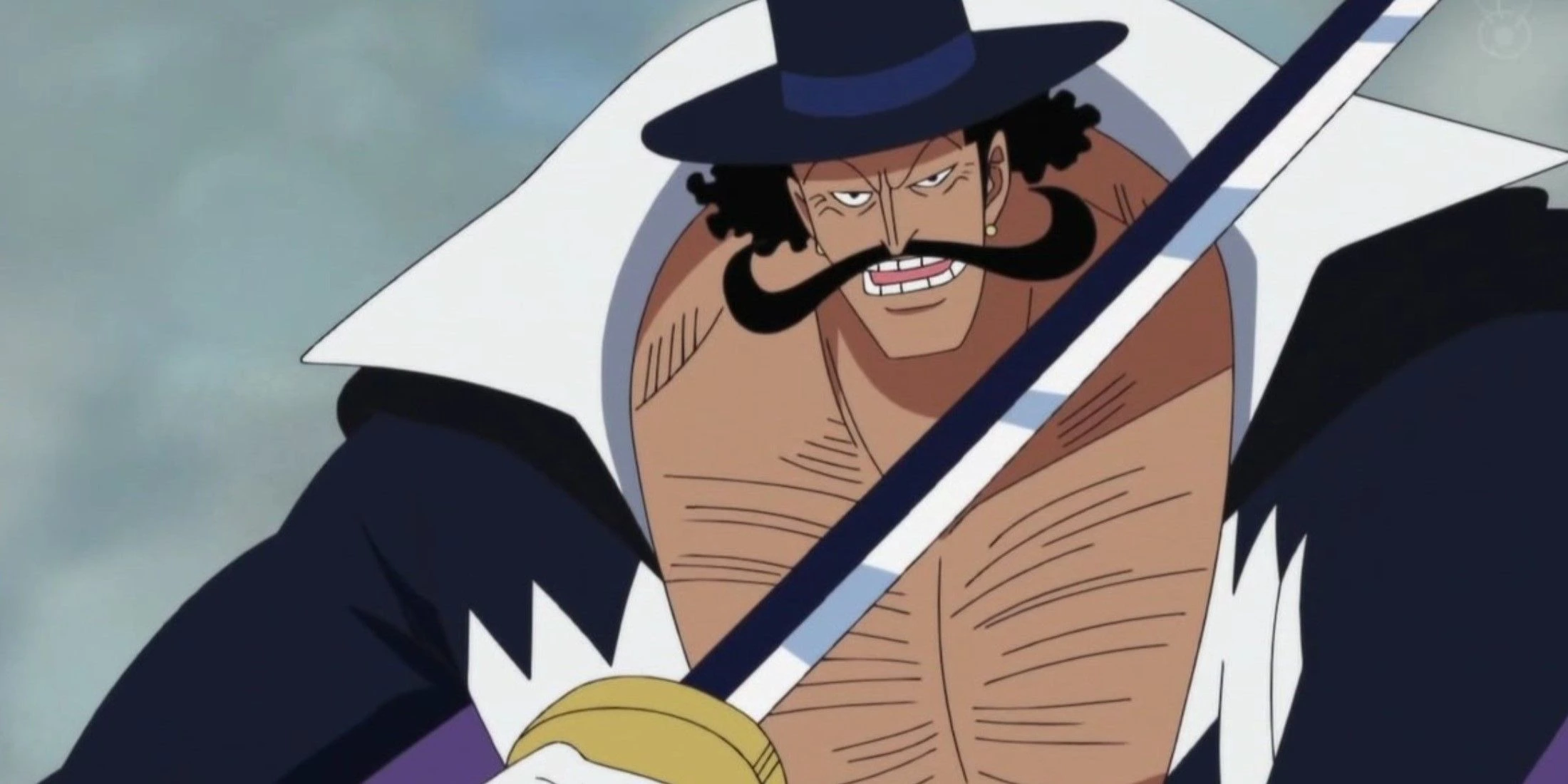 Vista, espadachim dos Piratas do Barba Branca